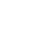 Icon pla Mobilität