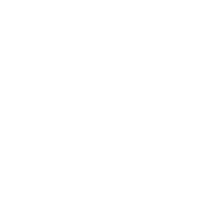 Icon pla Gebäudebegrünung