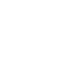 Icon pla 06