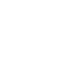 Icon pla 07