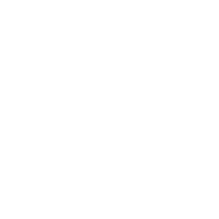 Icon pla 08