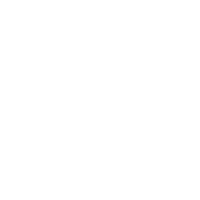 Icon pla 09