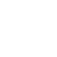 Icon pla 02
