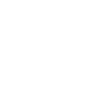 Icon pla 03