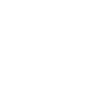 Icon pla 04