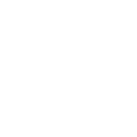 Icon pla 08