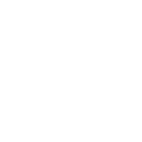 Icon pla 09