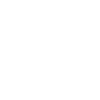 Icon pla 10