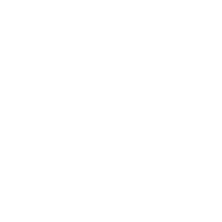 Icon pla 13