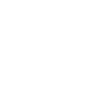 Icon pla 14